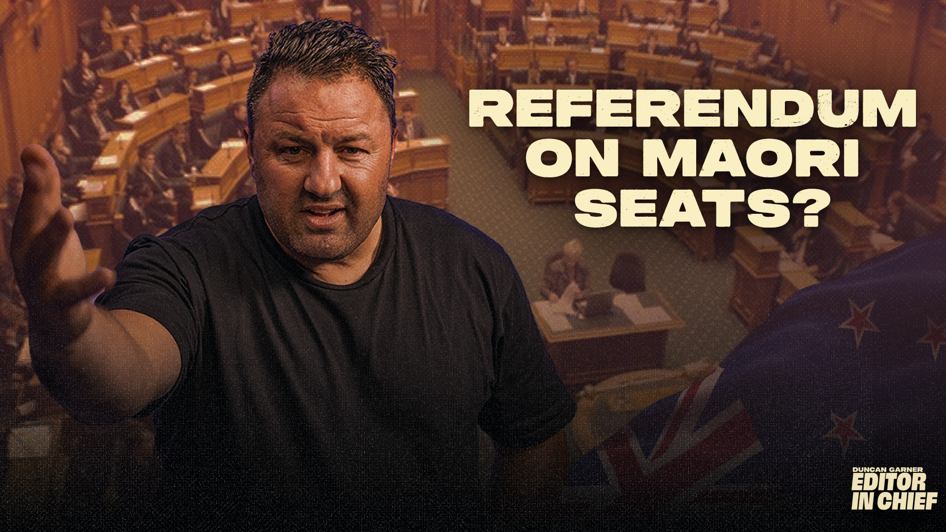 Winston Peters' Maori Seats Referendum: Political Masterstroke or Re-run? 