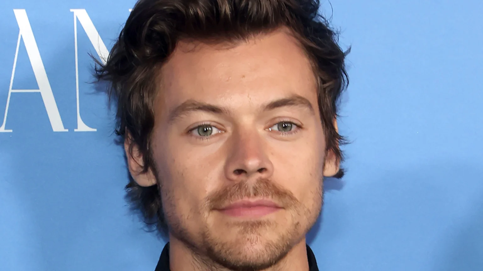 Close-up of Harry Styles, a young man with brown wavy hair, green eyes, and light facial hair, looking at the camera against a blue background with white letters "AN" on the left.