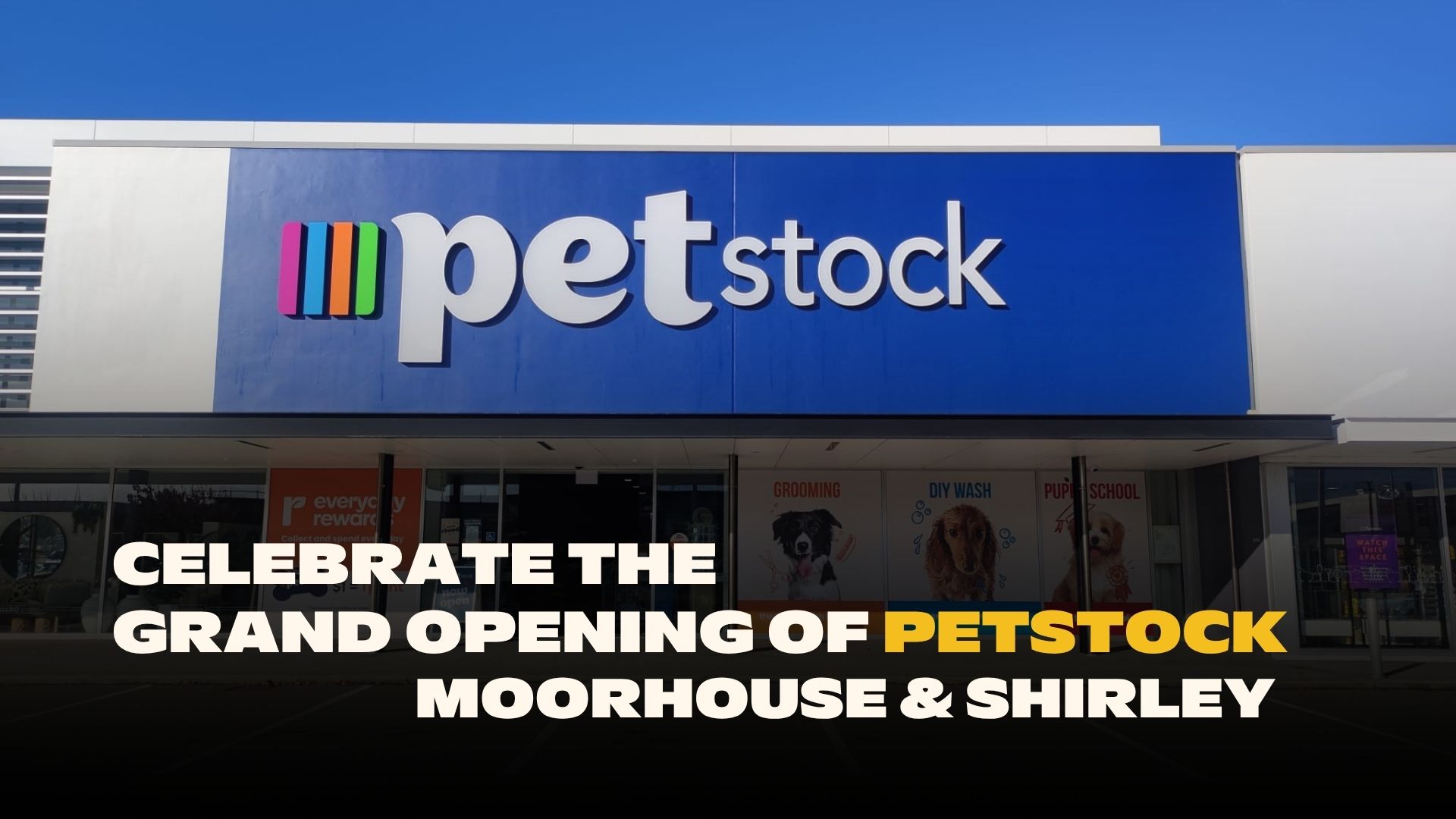 A blue Petstock store facade with its colorful logo and white text, advertising grooming, DIY wash, and pup school, overlaid with text celebrating the grand opening of Petstock Moorhouse & Shirley.