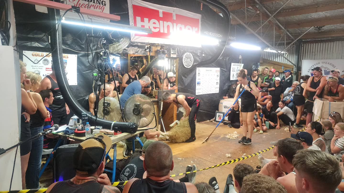 Whanganui shearer sets insane world record with 732 ewes in one day