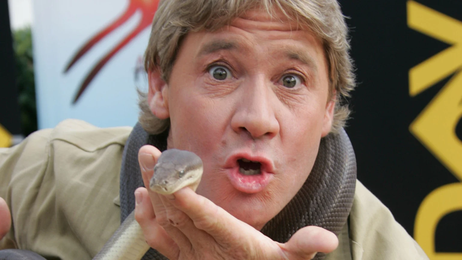 Steve Irwin looks directly at the camera with wide eyes and an open mouth, holding a dark snake whose head rests on his finger, with the snake wrapped around his neck.