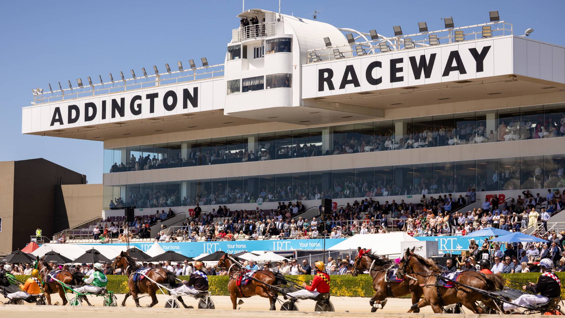 Harness racing is underway at Addington Raceway under a clear blue sky, with multiple horses and drivers on the track and spectators filling the grandstand.