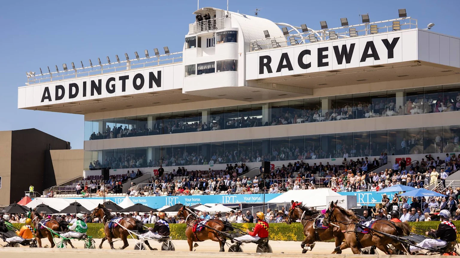 Harness racing is underway at Addington Raceway under a clear blue sky, with multiple horses and drivers on the track and spectators filling the grandstand.