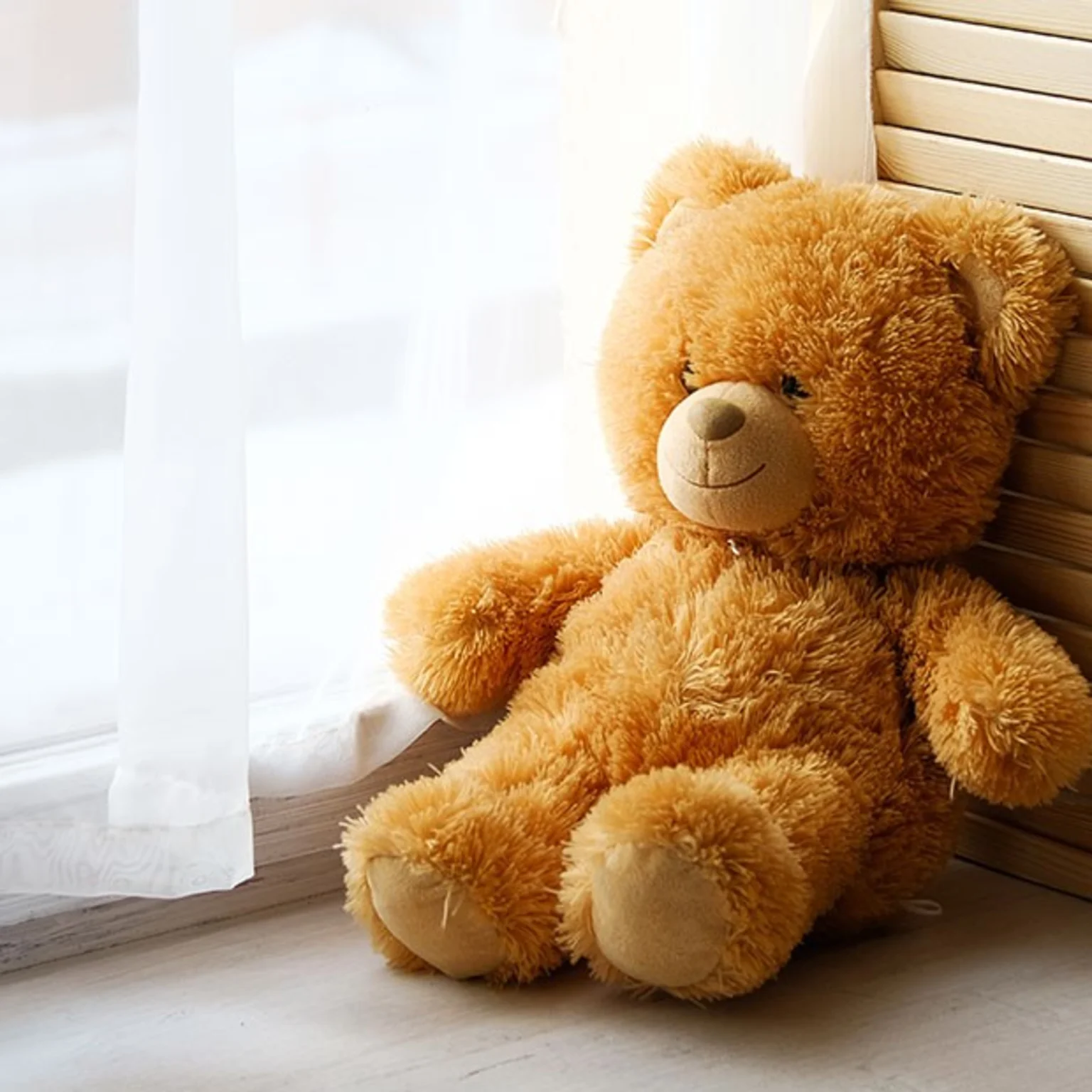 Kiwi teddy bear sales