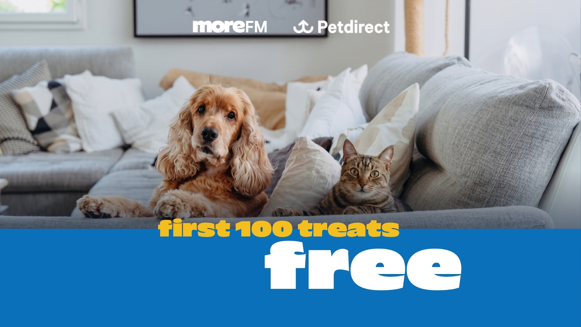 A dog and a tabby cat sit on a grey sofa, with "moreFM" and "Petdirect" logos above, and a blue banner below advertising "first 100 treats free."