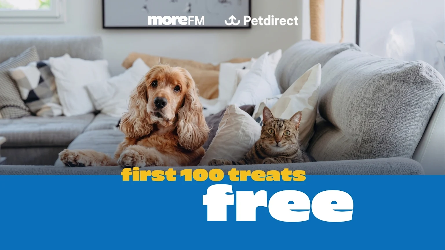 A dog and a tabby cat sit on a grey sofa, with "moreFM" and "Petdirect" logos above, and a blue banner below advertising "first 100 treats free."