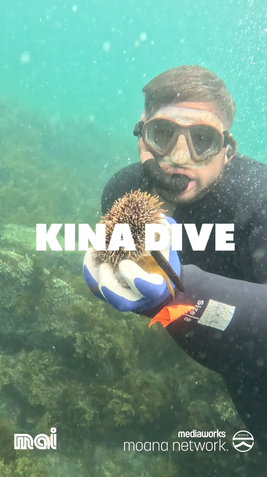 Kina diving for the very first time | Videos | rova