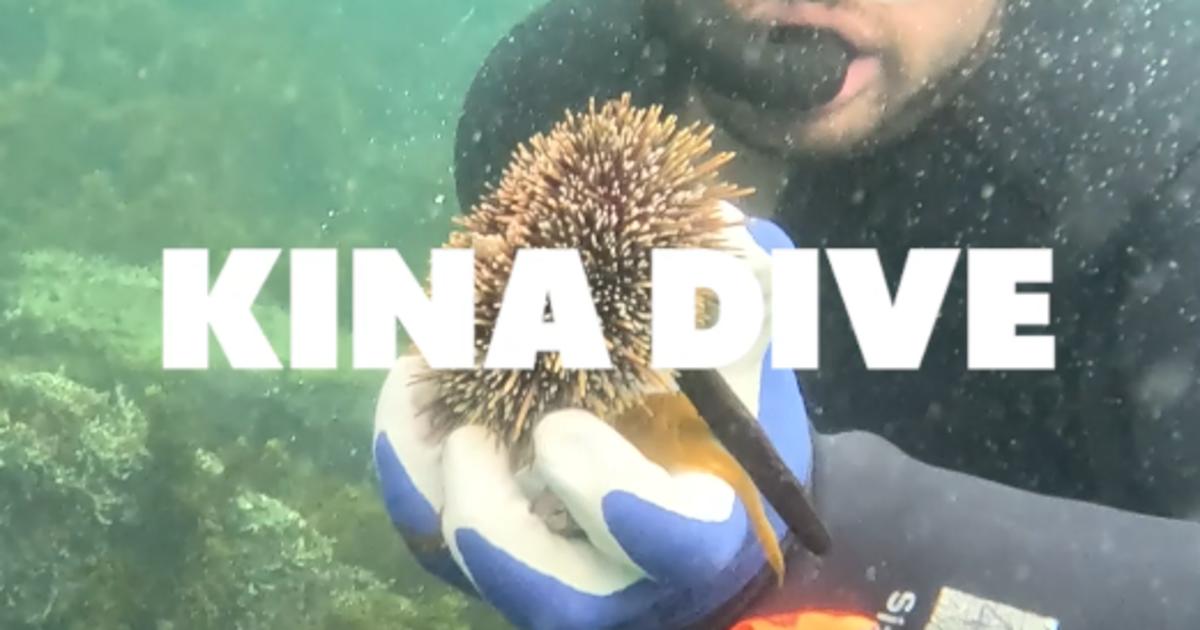 Kin Red Diving Kina diving for the very first time | Videos | rova