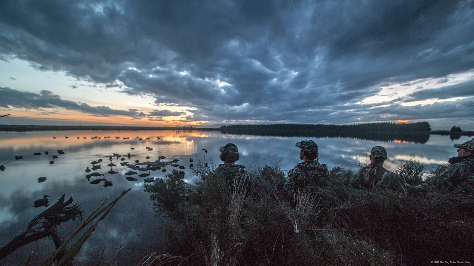 Four duck hunters in camouflage sit in waterside vegetation, looking over a lake filled with duck decoys at dawn under a cloudy sky.