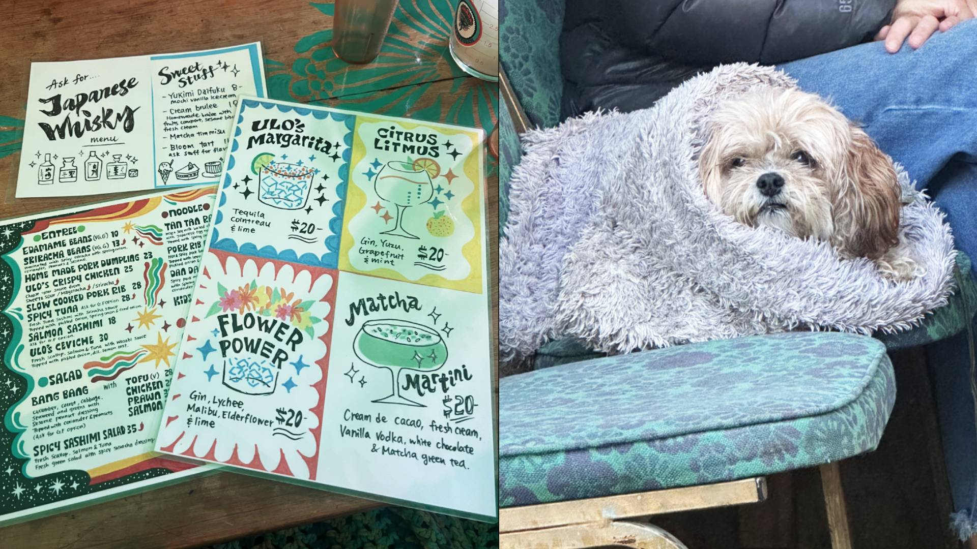 The menu at ULO's Kitchen and a dog wrapped in a blanket. 