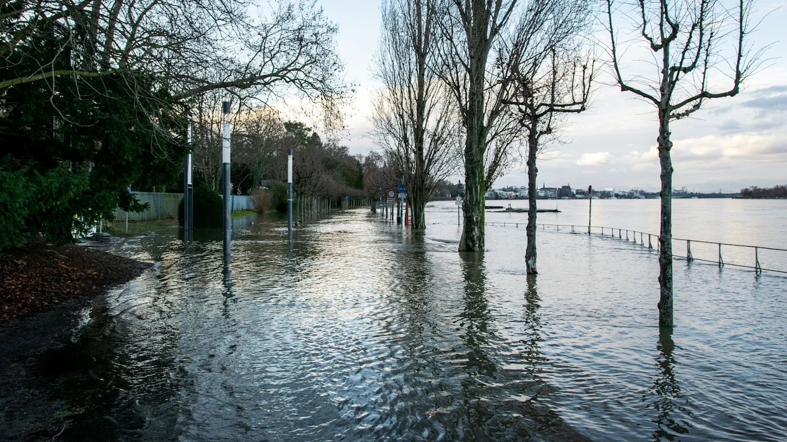 A tree-lined street is completely submerged by floodwaters, with only the upper parts of trees, streetlights, and a railing visible above the water next to a wide river.