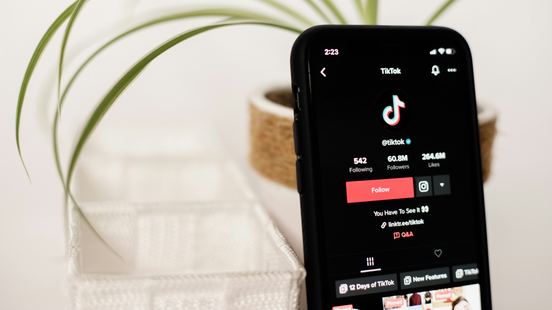 A smartphone displays the TikTok app, showing the official @tiktok profile page with "60.8M Followers" and a "Follow" button, while a blurred green plant and white woven basket are in the background.