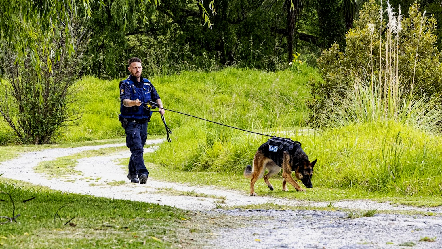 New Zealand SAR dog Teo and her handler, Senior Constable Adam,.