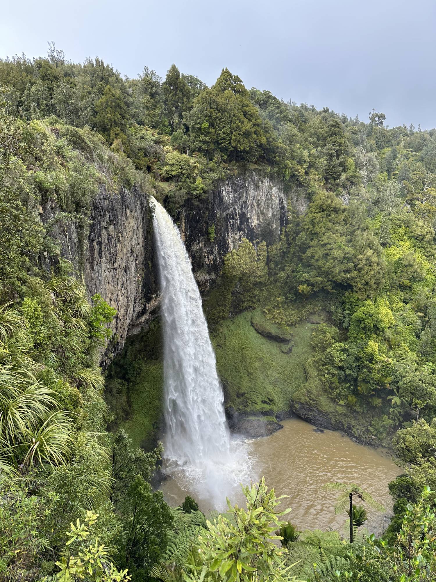 Bridal Veil Falls in Raglan 