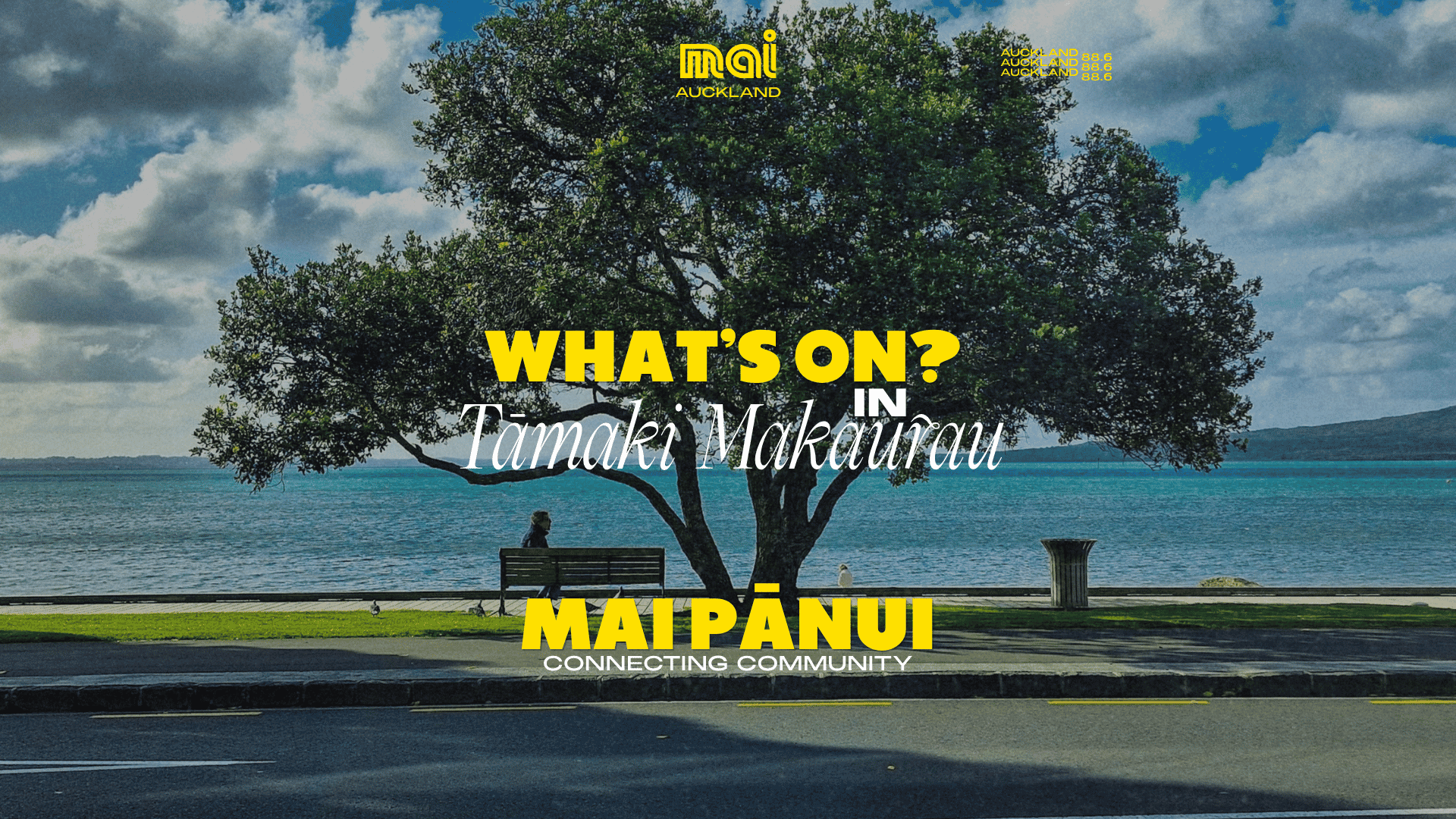 A scenic waterfront view features a large tree, a person on a bench, and text overlays including "WHAT'S ON? IN Tāmaki Makaurau" and "MAIPĀNUI CONNECTING COMMUNITY".