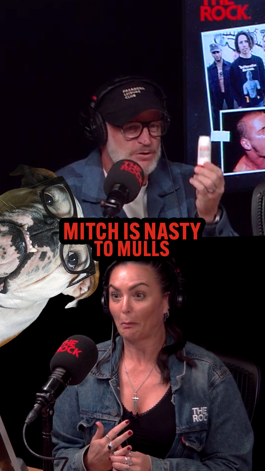 Mitch calls Mulls an English Bulldog