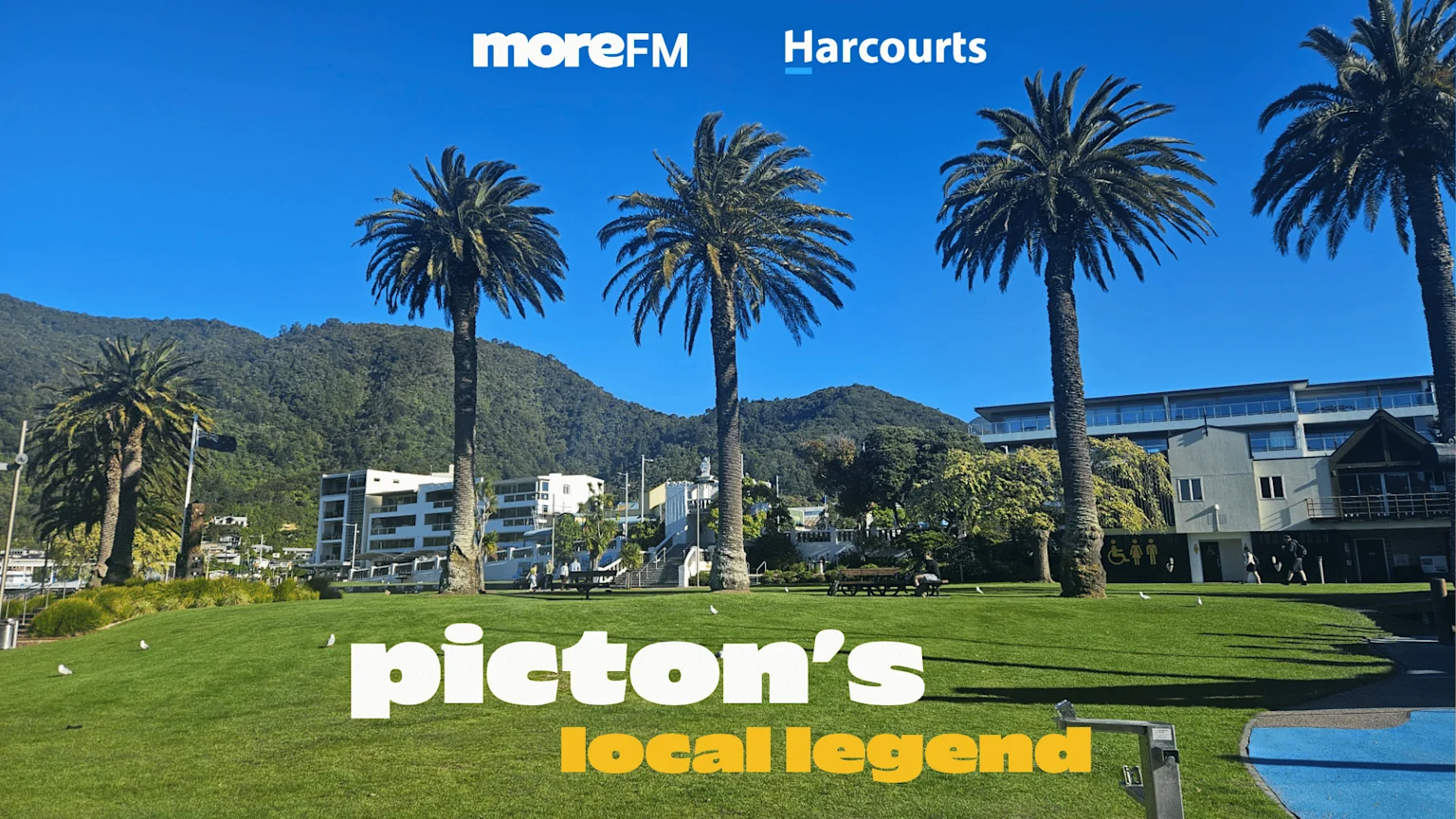 A sunny waterfront park scene with a large green lawn, tall palm trees, modern buildings, and green mountains in the background, featuring the texts 'moreFM Harcourts' and 'picton's local legend'.