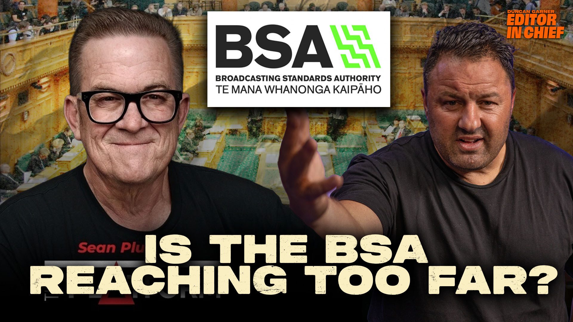 BSA vs Sean Plunket: Is This Overreach from an Outdated Body?