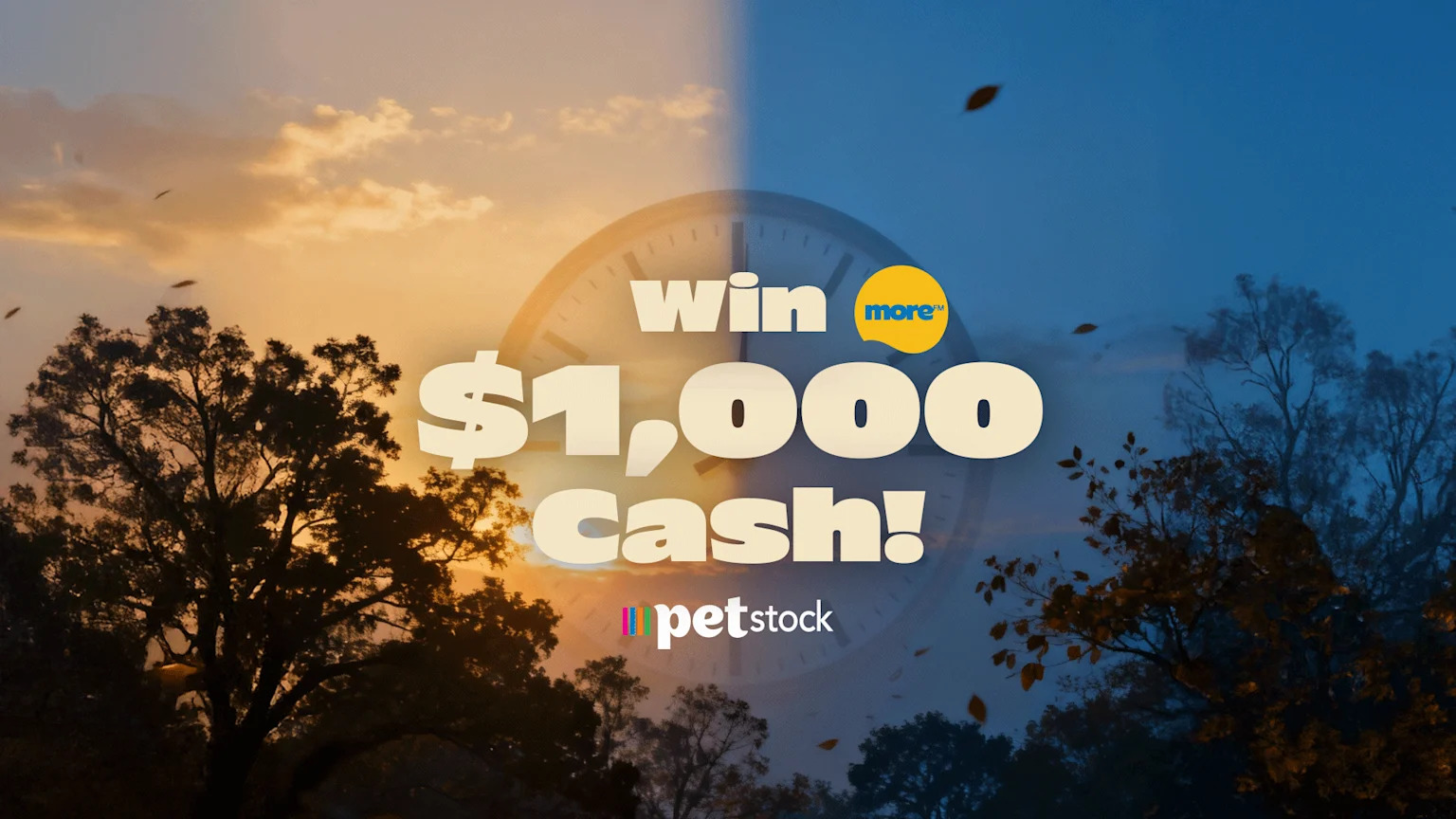 A split image of day (left) and night (right) skies with falling leaves and trees, a faint clock, and text "win more™ $1,000 cash!" and "petstock" logo.