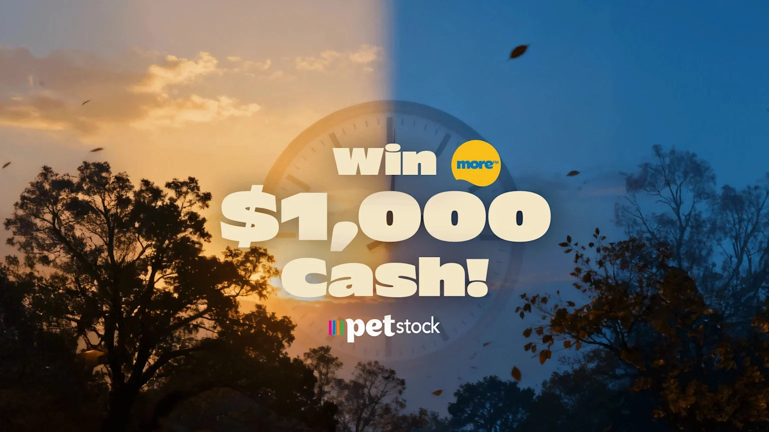 A split image of day (left) and night (right) skies with falling leaves and trees, a faint clock, and text "win more™ $1,000 cash!" and "petstock" logo.