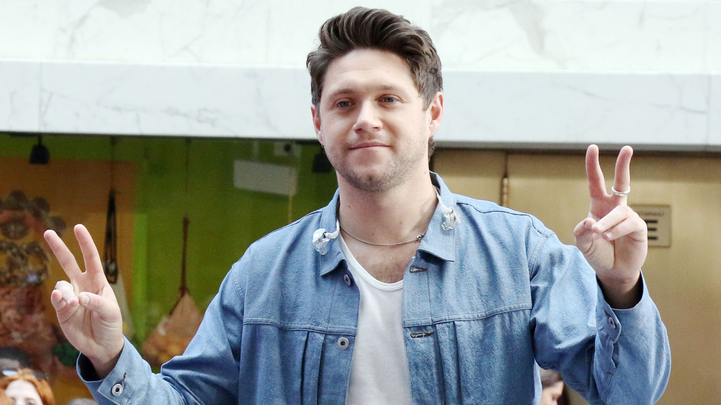 Niall Horan calls home pub 'worst idea' he's ever had