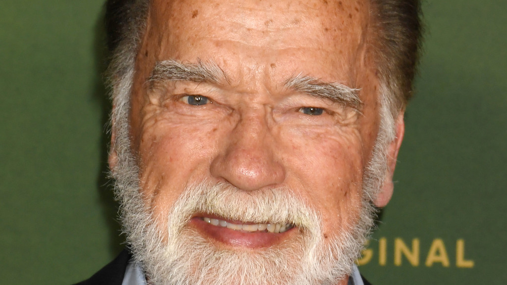 Arnold Schwarzenegger signs on for new Conan the Barbarian film