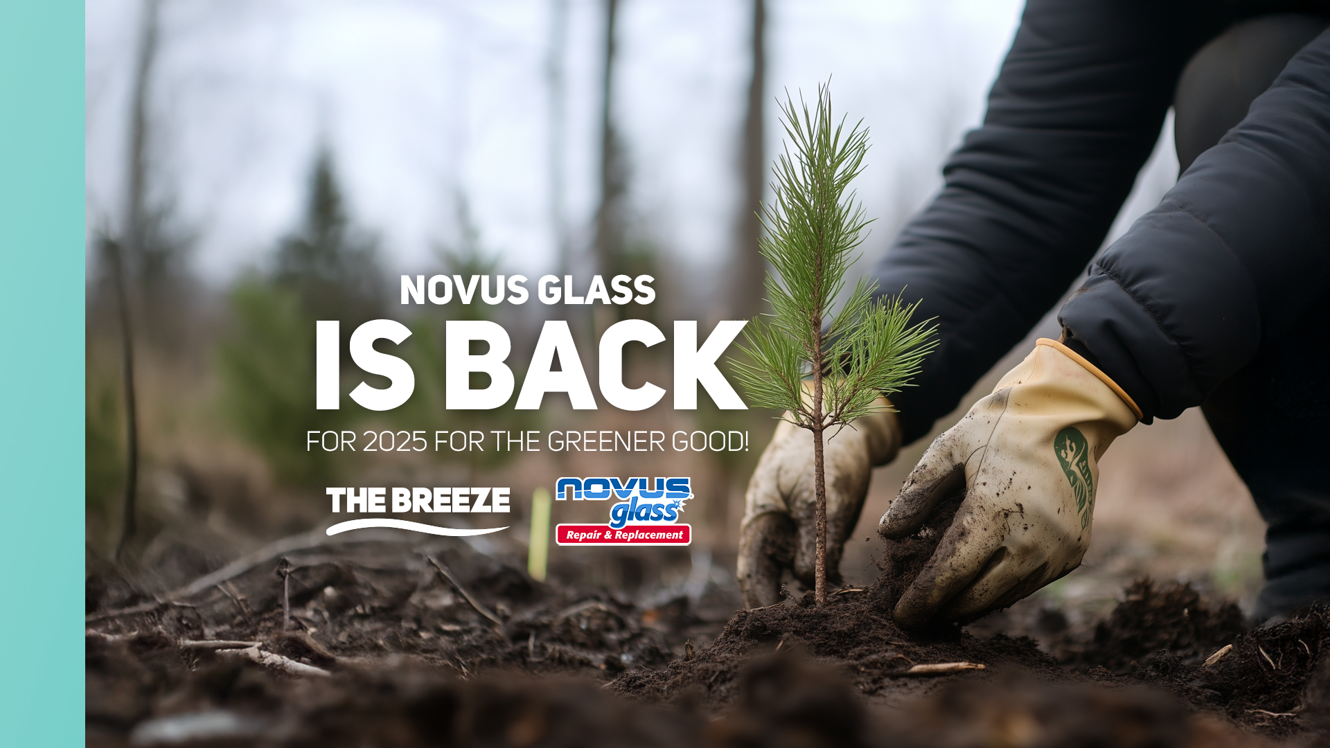 Have a tree planted on your behalf with The Breeze