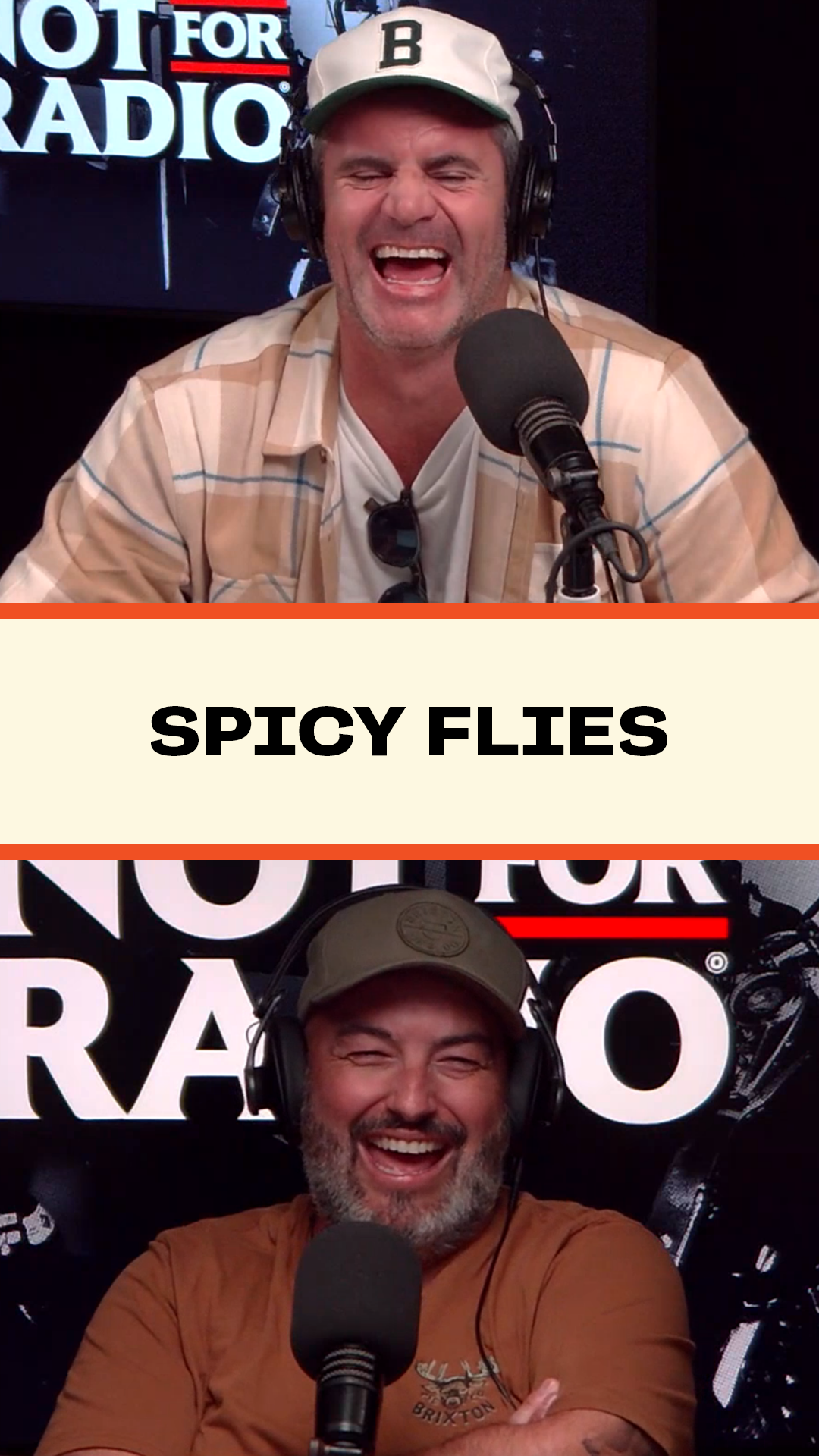 Spicy Flies