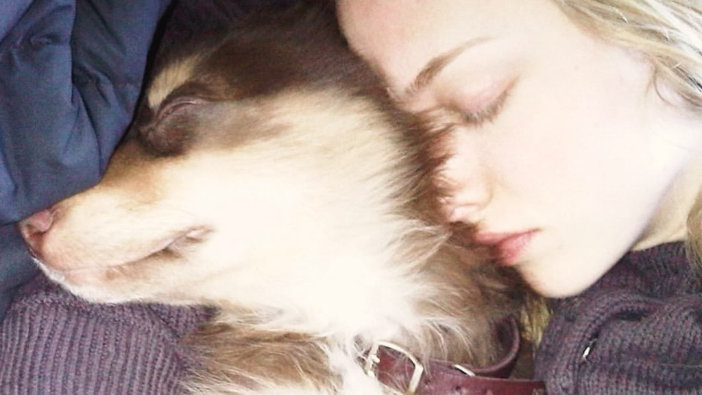 Amanda Seyfried mourns death of 16-year-old dog Finn