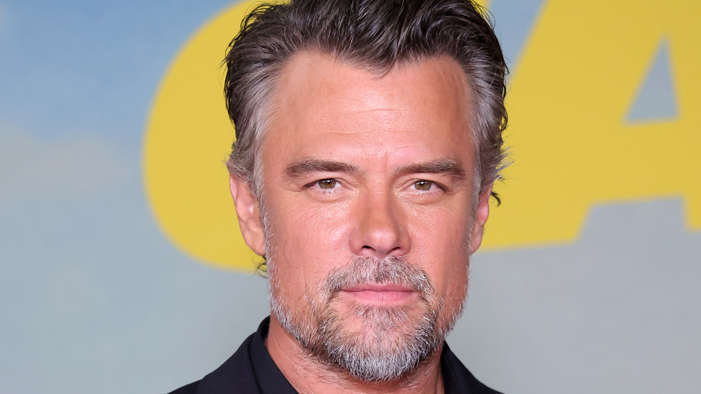 Josh Duhamel believes celebrities should stay silent on politics