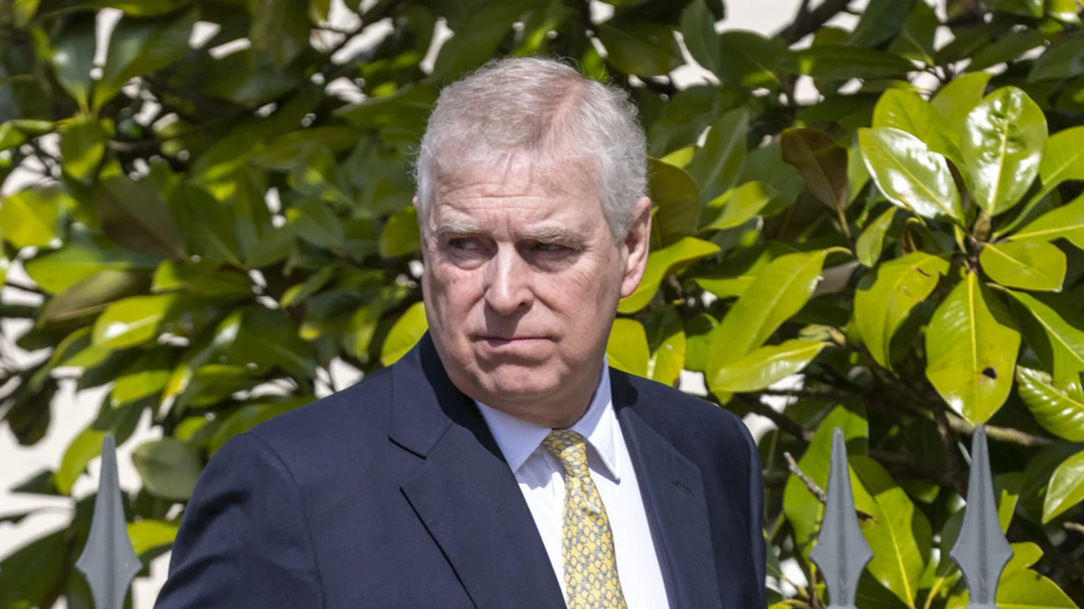 Prince Andrew looks to his left with a serious expression, wearing a navy suit and yellow patterned tie, against a backdrop of green leaves and dark fence spikes.