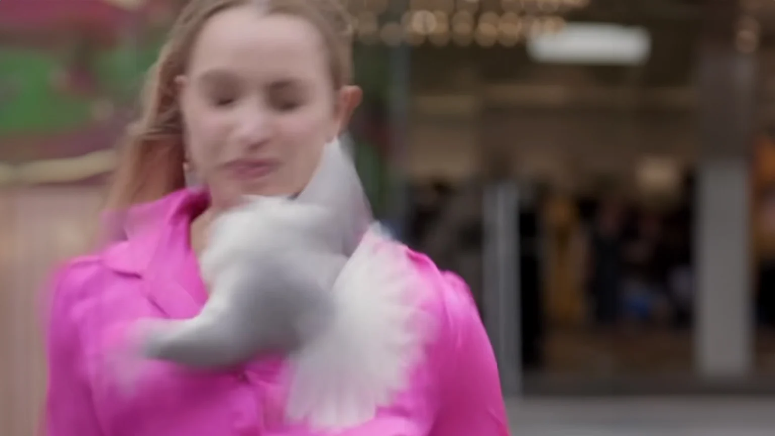 Female reporter getting hit in the face by a bird