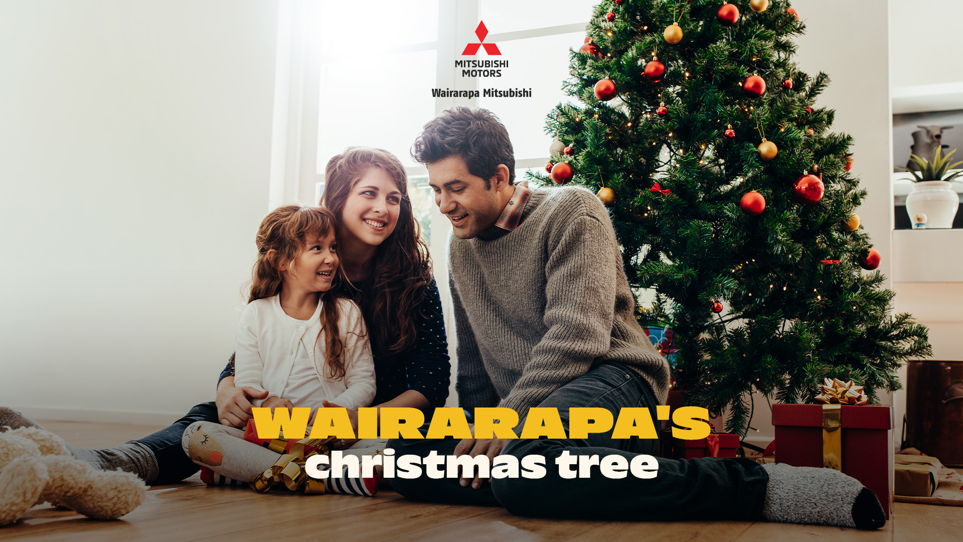 Wairarapa's Christmas Tree