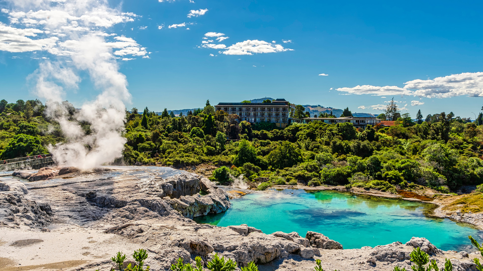 German tourist's review about being 'traumatised' by Rotorua goes viral 