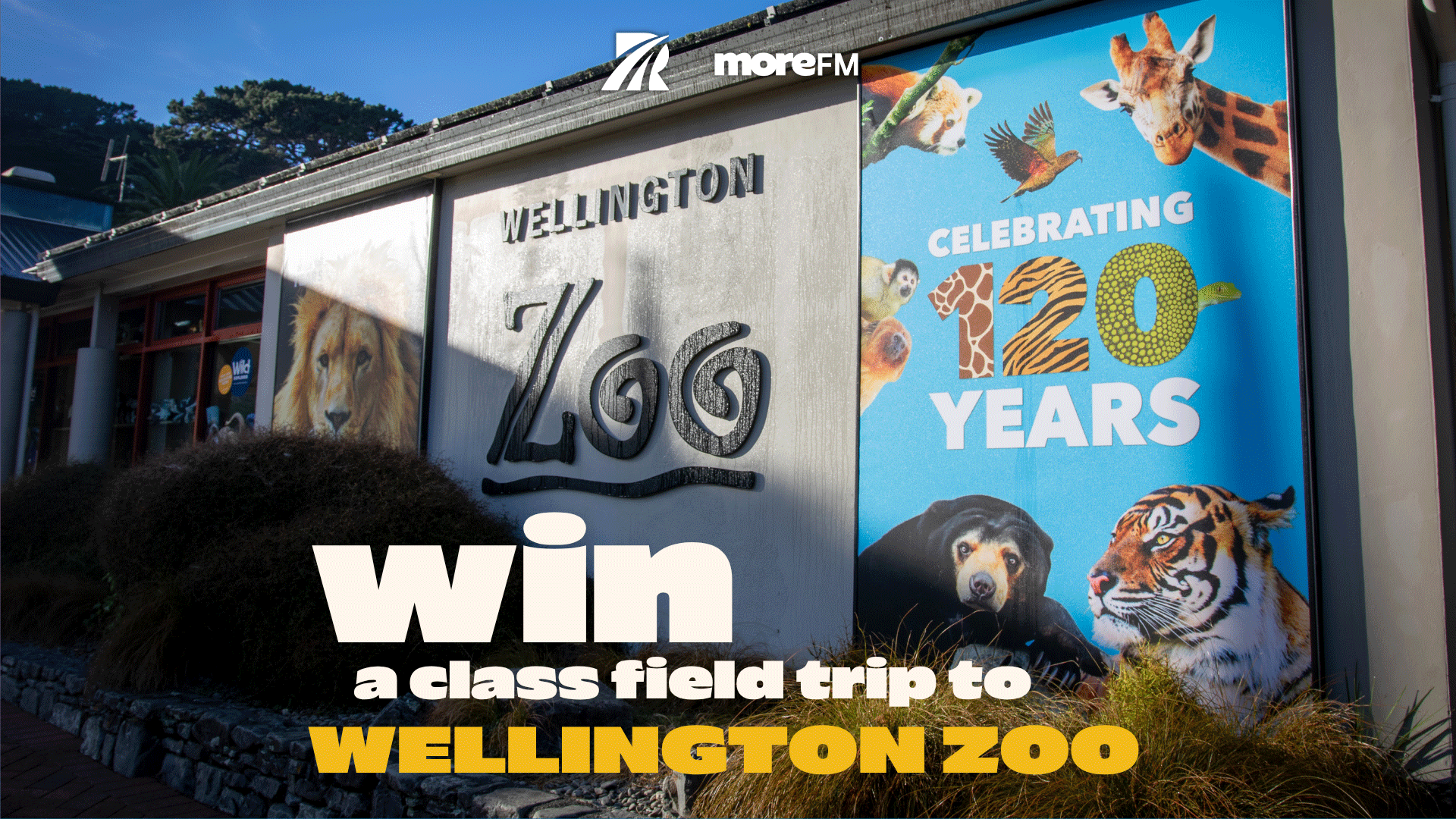 An outdoor shot of the Wellington Zoo entrance, featuring a large banner celebrating "120 YEARS" with various animals, and overlaid text promoting "Win a class field trip to Wellington Zoo".