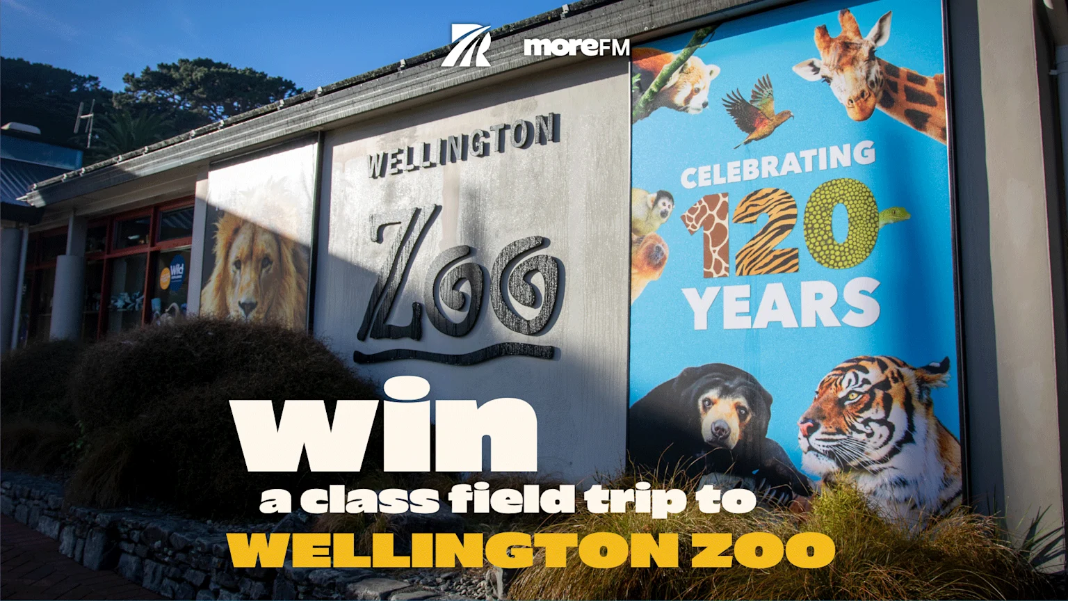 An outdoor shot of the Wellington Zoo entrance, featuring a large banner celebrating "120 YEARS" with various animals, and overlaid text promoting "Win a class field trip to Wellington Zoo".