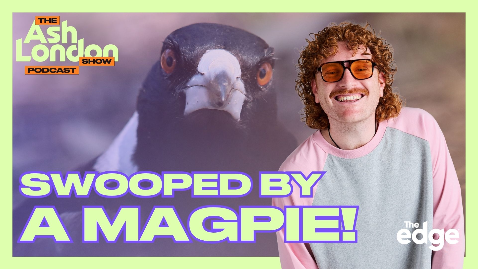 Swooped by a magpie!