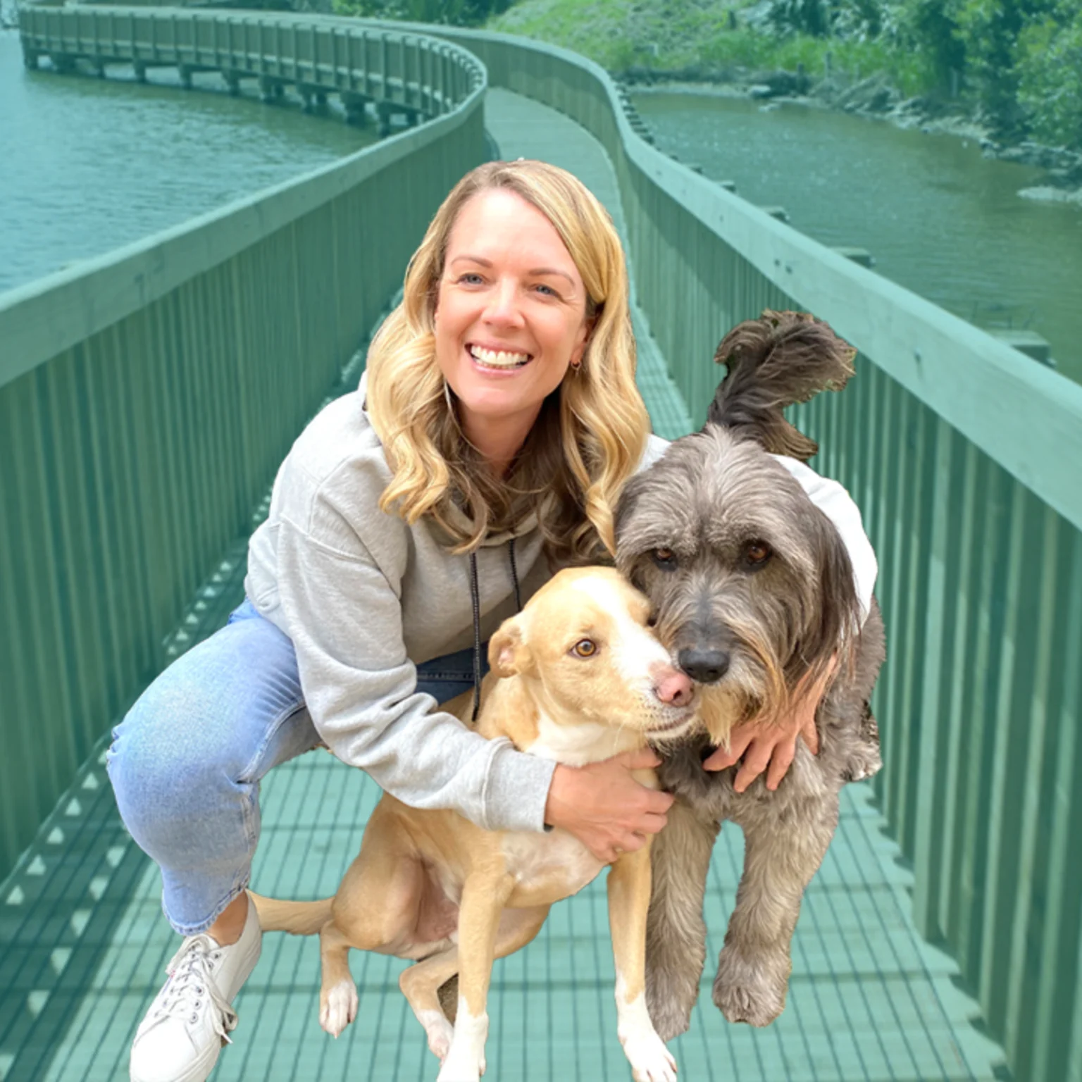 Best places to walk dogs near me online