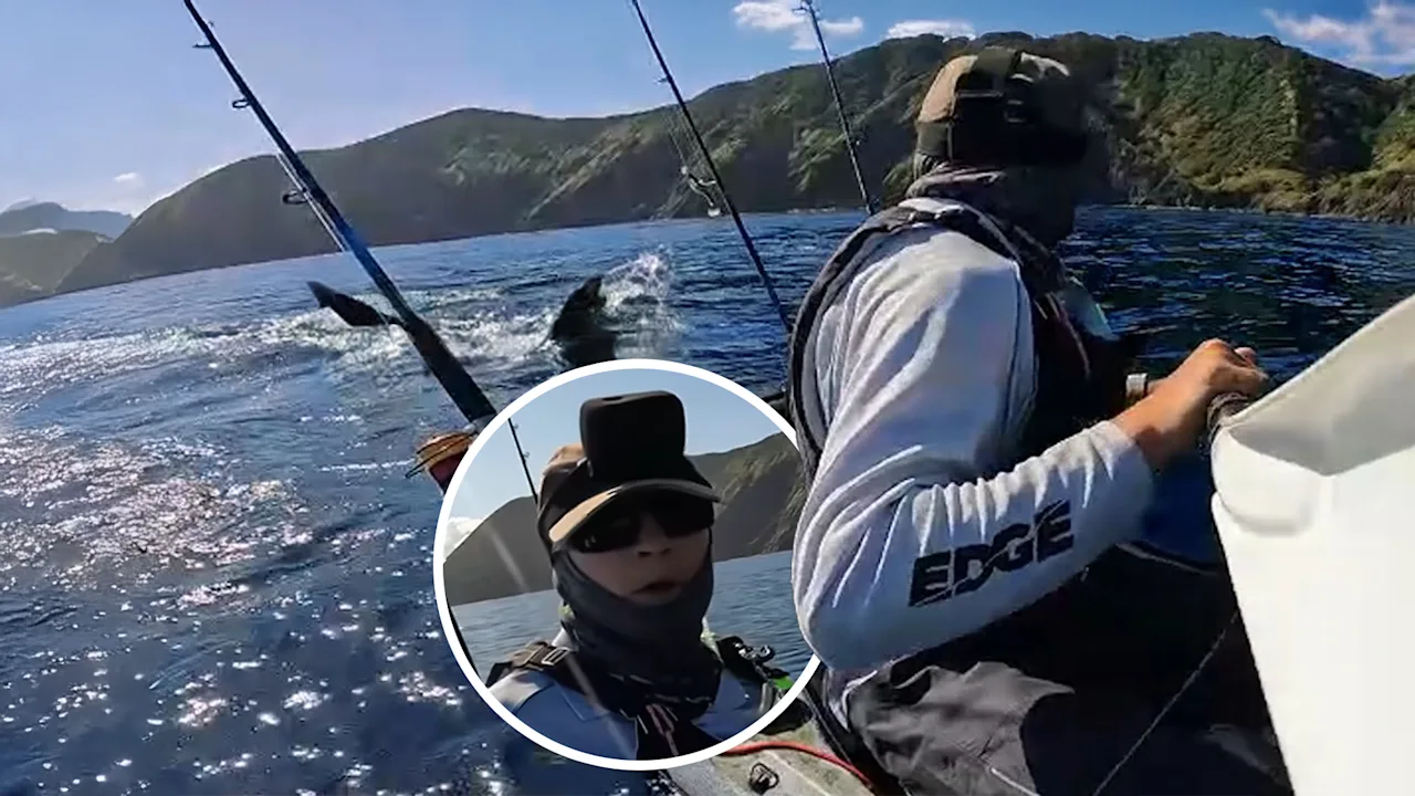 Gopro Aeards Young Kiwi fisherman who was hunted by great white shark wins wins ...