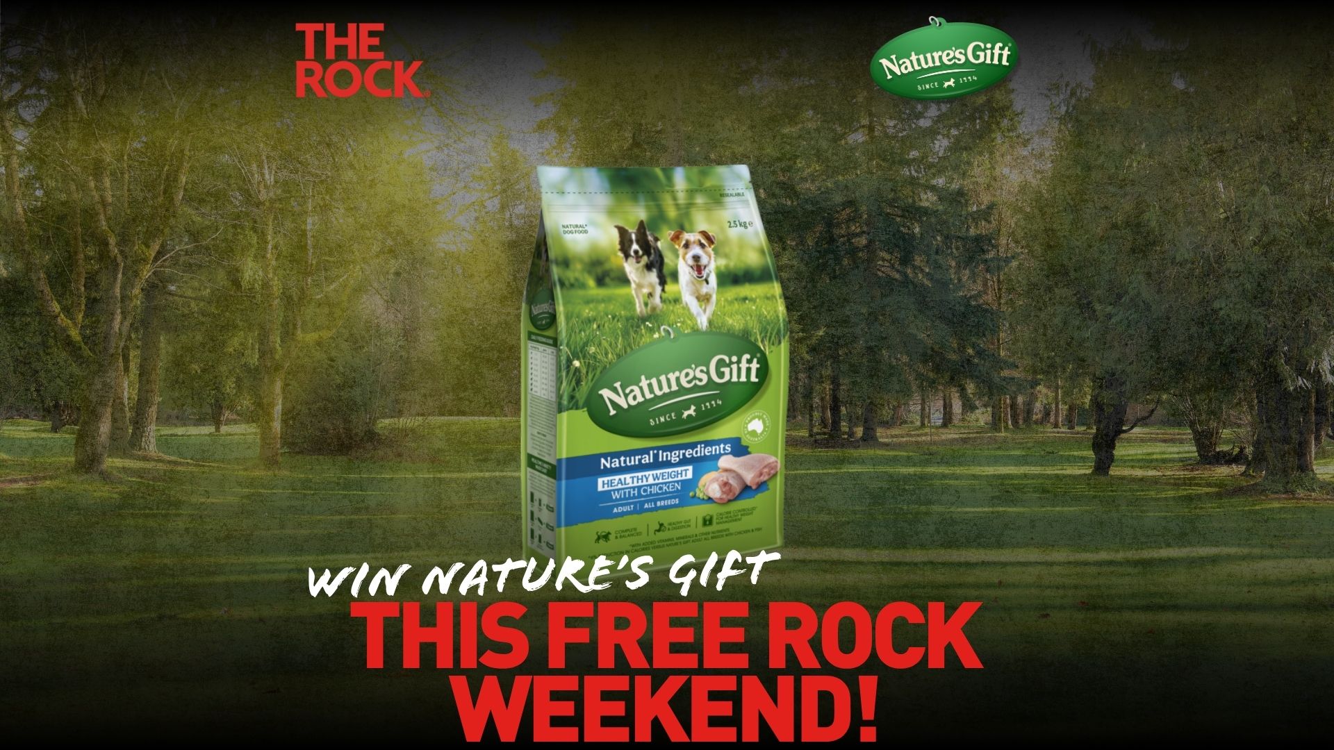 A green bag of Nature's Gift Healthy Weight dog food stands in a forest, with "THE ROCK" logo in the top left and "WIN NATURE'S GIFT THIS FREE ROCK WEEKEND!" text at the bottom.