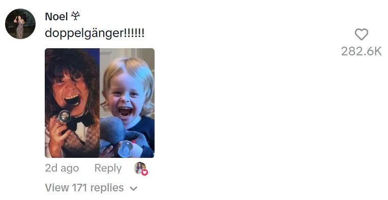 Screenshot of TikTok comment
