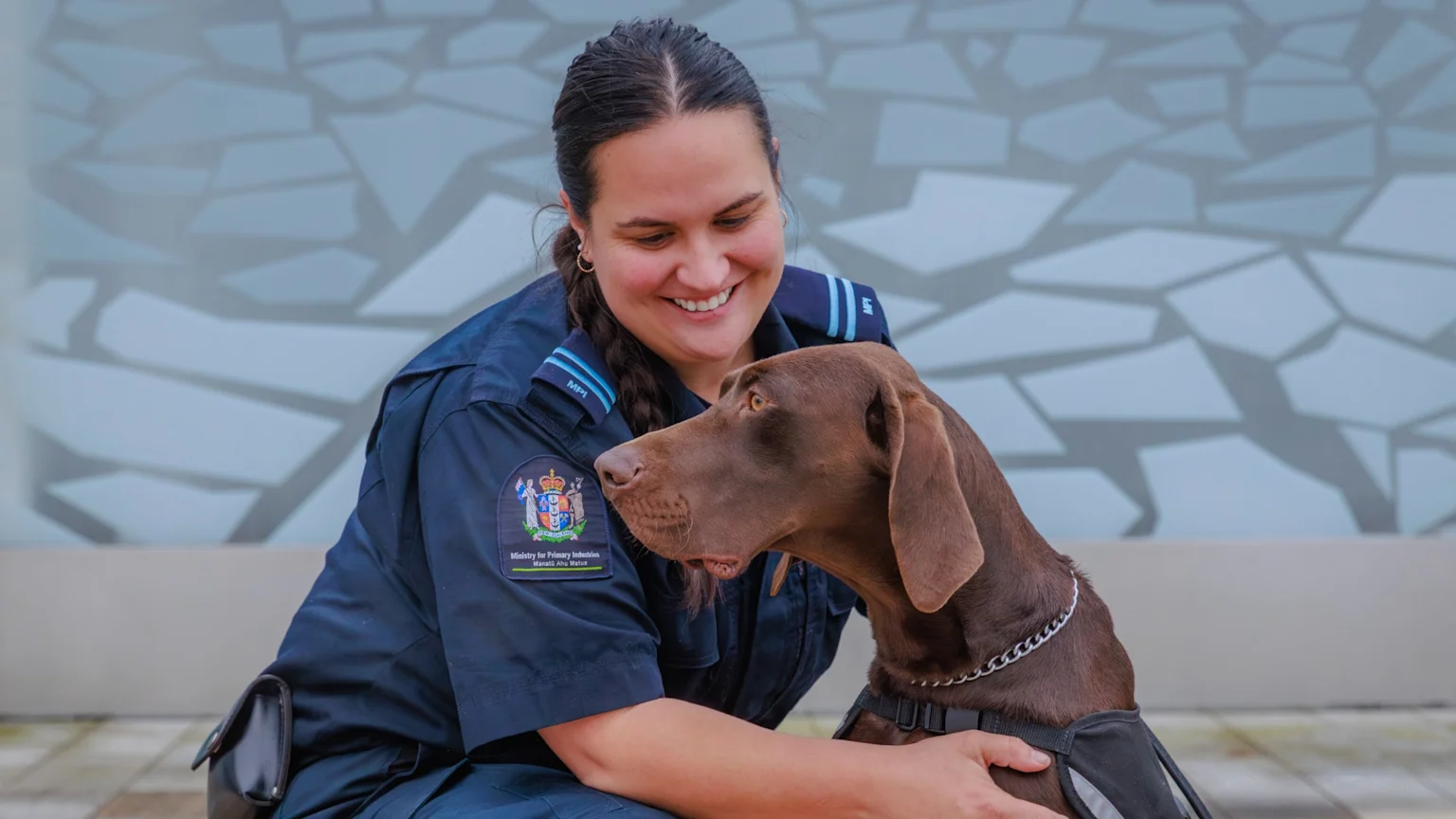 A smiling woman in a dark blue Ministry for Primary Industries uniform crouches next to a chocolate brown dog with a harness, looking at it affectionately against a patterned wall.