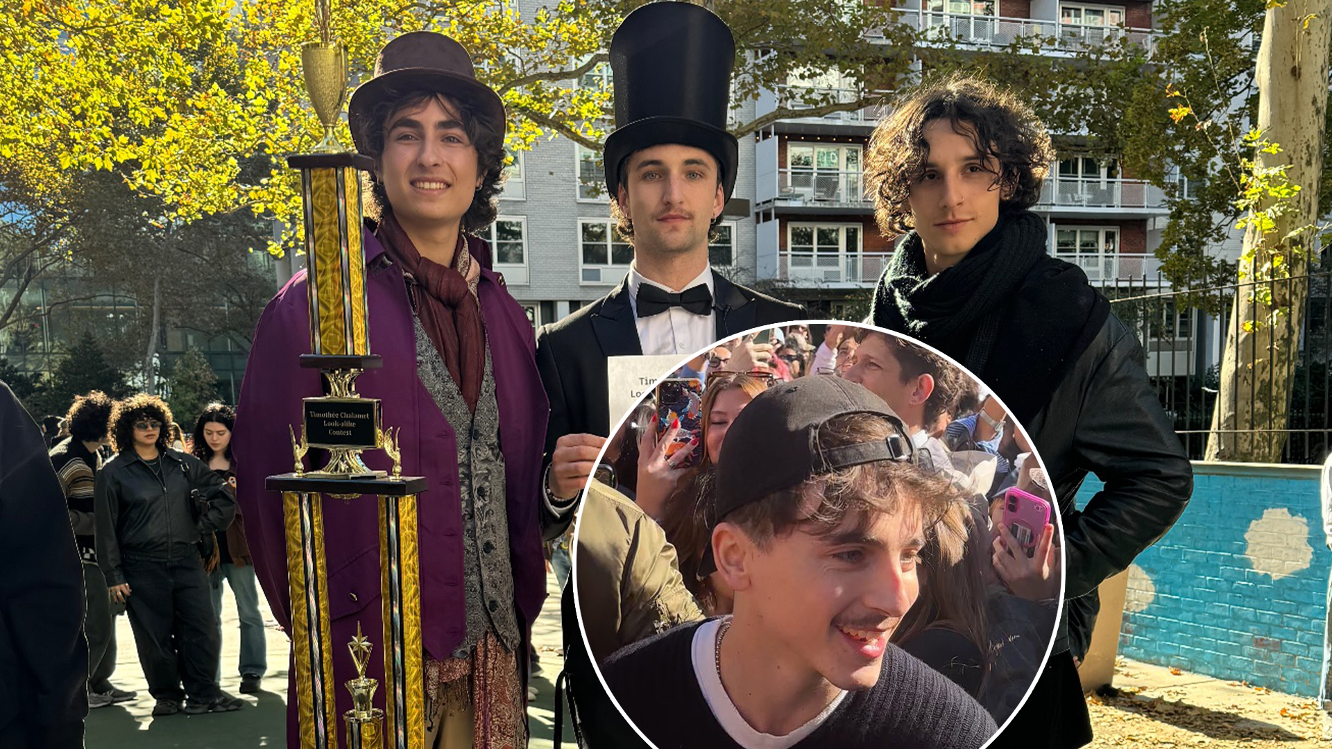 'Historic Pop Culture Moment': Timothée Chalamet Crashes His Own ...