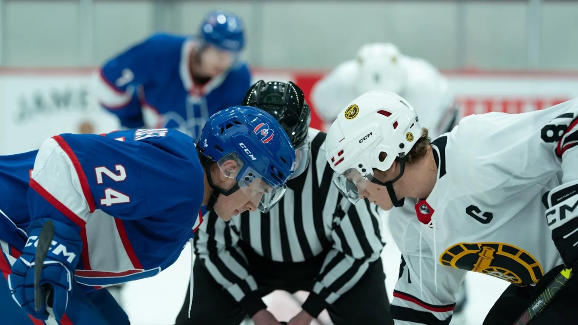 Why is everyone obsessed with ‘Heated Rivalry’? It’s not just the sex scenes