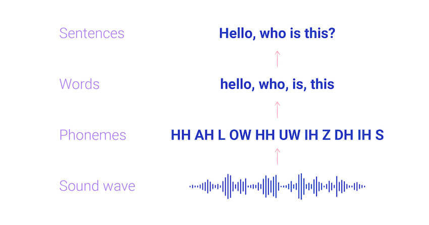Building phonemes words and sentences in speech recognition blog size