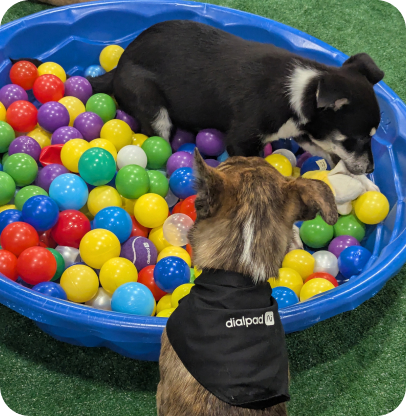 google-next-post-image-2