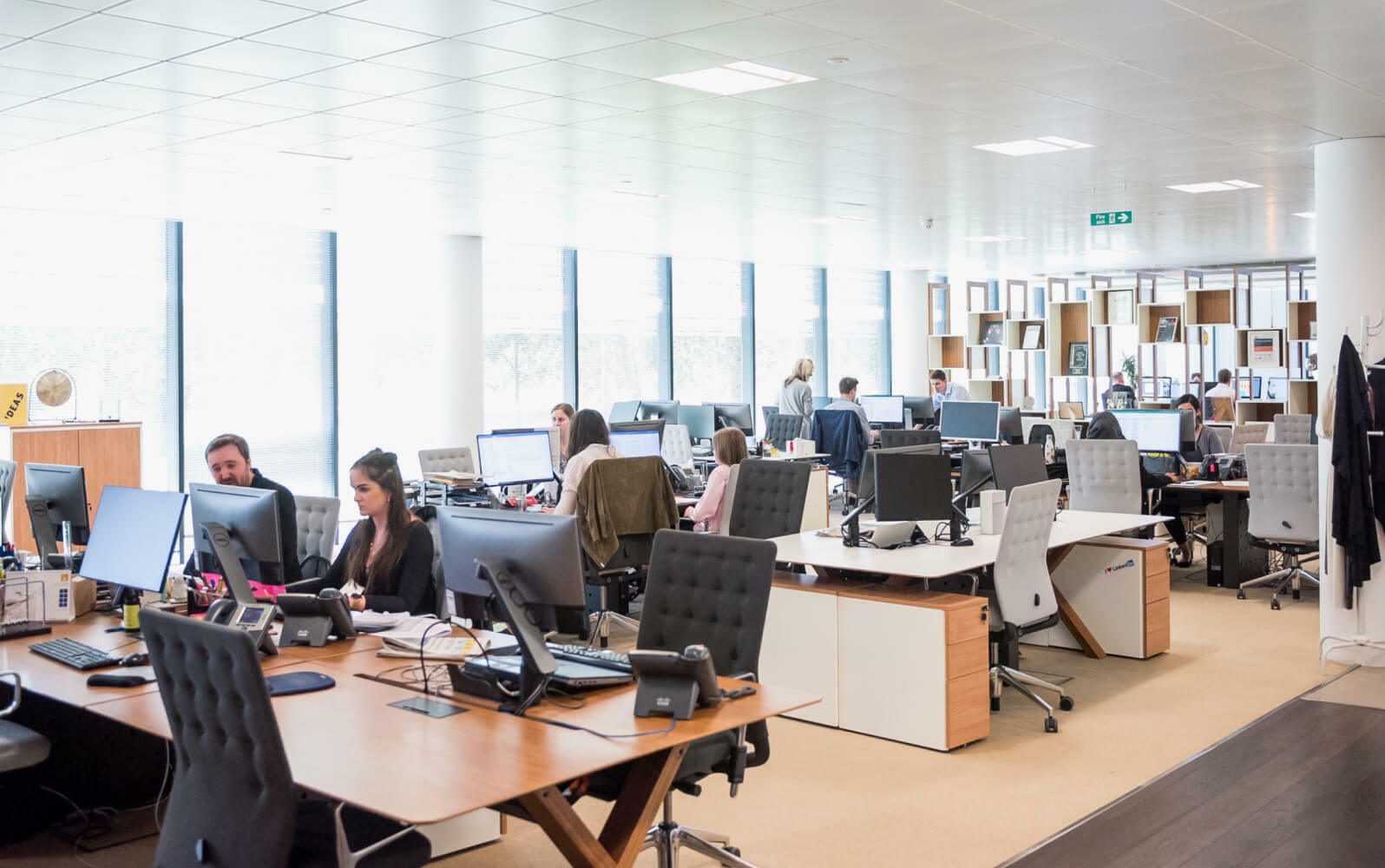 People working on the office