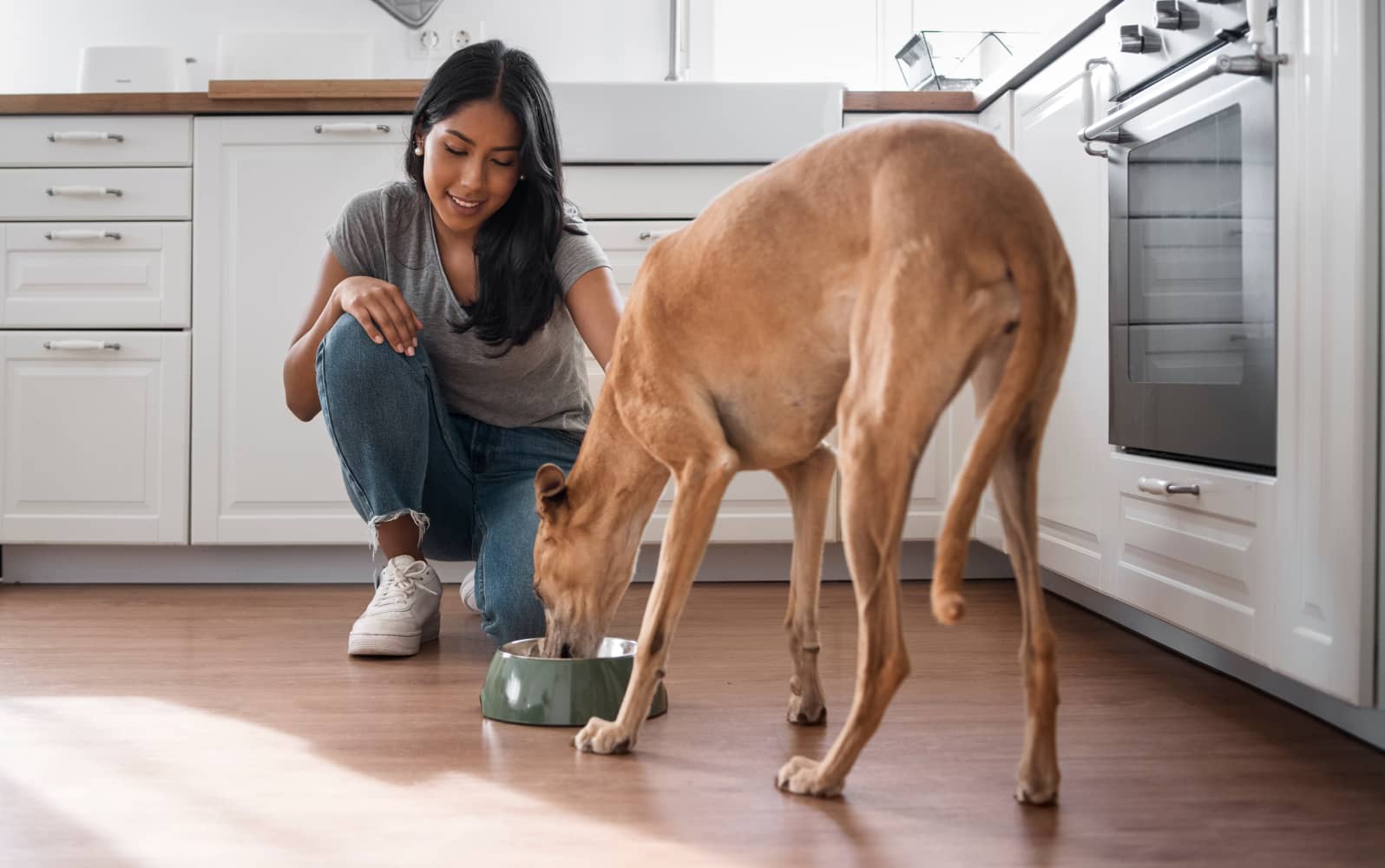 A woman feeding her dog