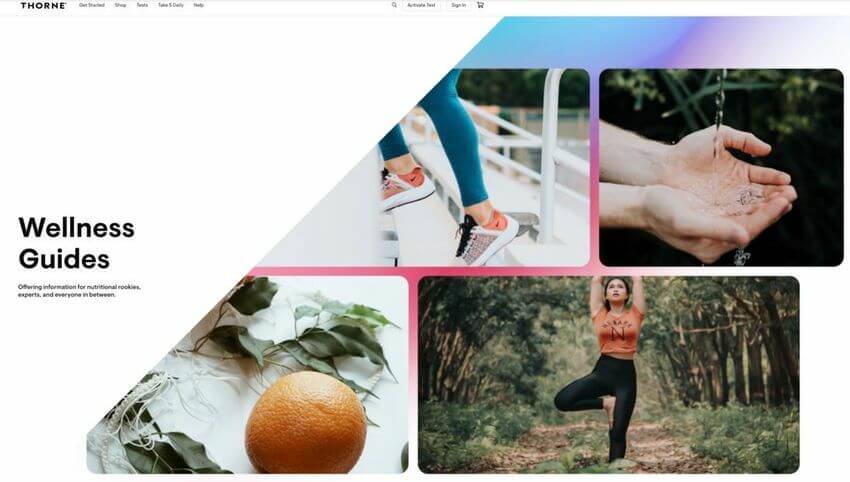 Thorne wellness guides