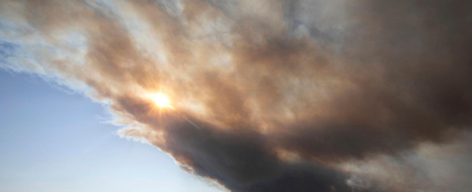 Wildfires in Halifax, Nova Scotia are 'out of control' and forcing 16,000 people from their homes